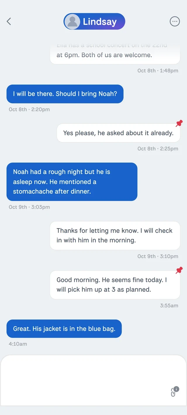 A chat conversation with pinned messages